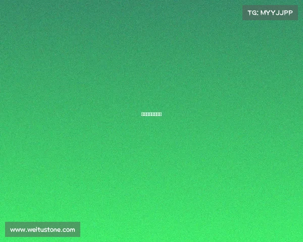 日职联的比赛集锦