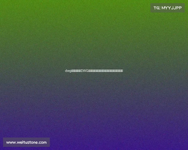 dwg赛事数据探索DWG电子竞技战队英雄联盟全球赛事数据深度剖析报告