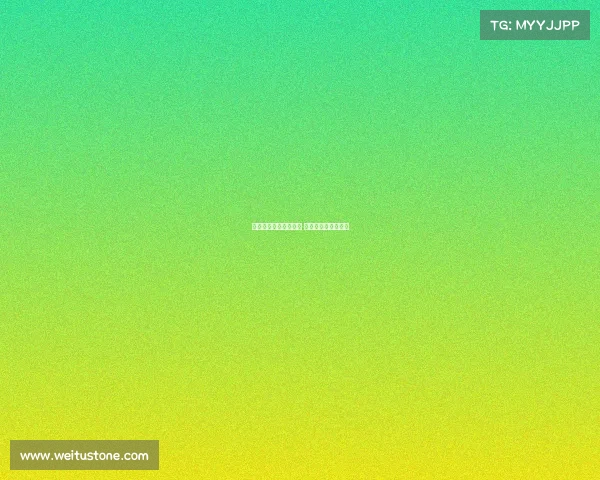 南美预选赛是什么赛事 南美预选赛什么意思