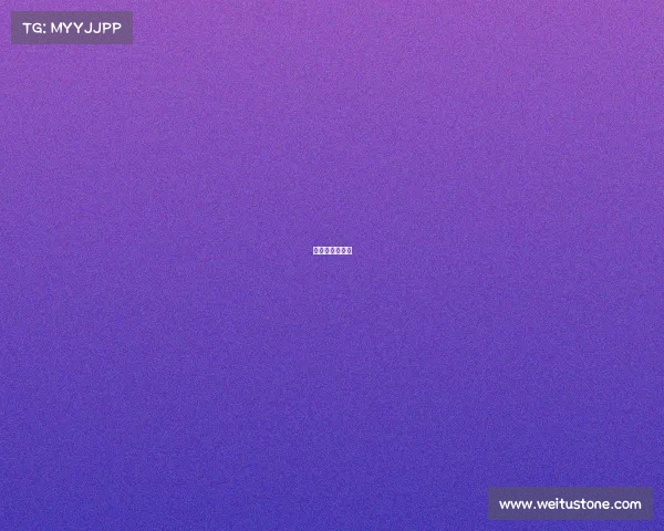 承办赛事的请示