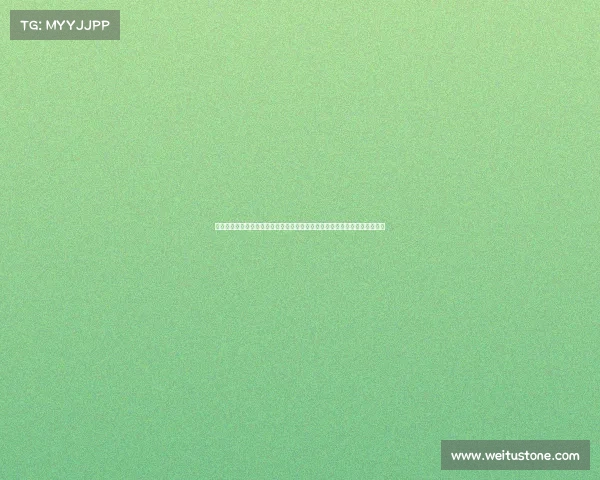 杨连慧赛事、杨连慧的拳击生涯巅峰赛事全纪实荣耀之路与奋斗传奇永不落幕