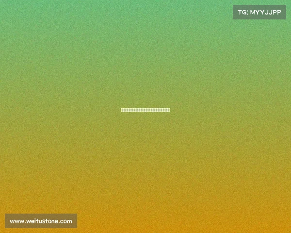 王霜法甲征程辉煌回顾中国女足海外荣耀时刻